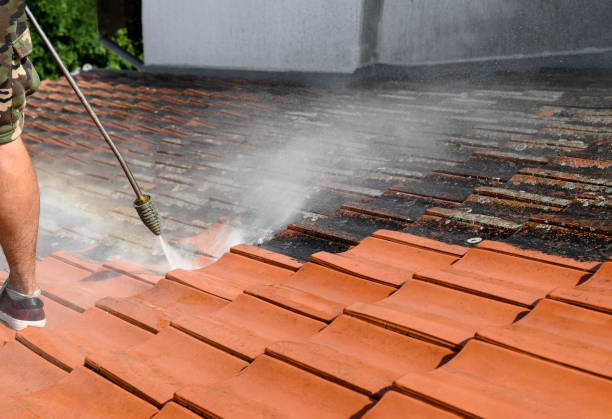Best Deck Cleaning Services  in Carlyle, IL