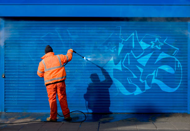 Best Best Pressure Washing Companies  in Carlyle, IL