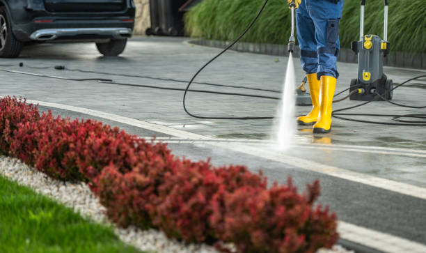 Best Pressure Washing Near Me  in Carlyle, IL
