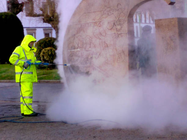 Best House Pressure Washing  in Carlyle, IL