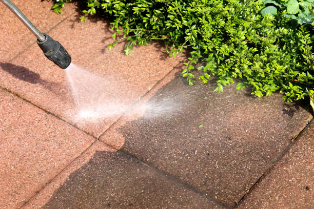 Best Residential Pressure Washing Services  in Carlyle, IL